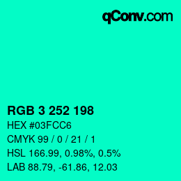 Color code: RGB 3 252 198 | qconv.com