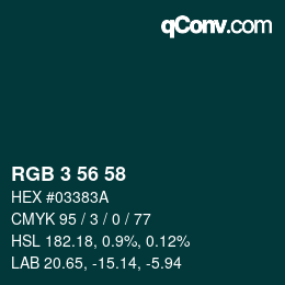 Color code: RGB 3 56 58 | qconv.com