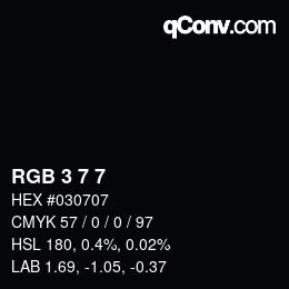 カラーコード: RGB 3 7 7 | qconv.com