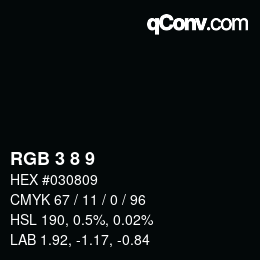 Color code: RGB 3 8 9 | qconv.com