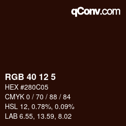 Color code: RGB 40 12 5 | qconv.com