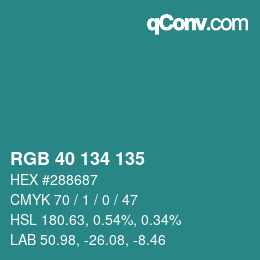 Color code: RGB 40 134 135 | qconv.com