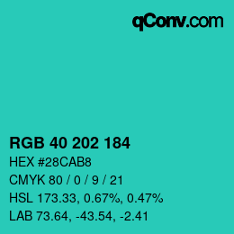 Color code: RGB 40 202 184 | qconv.com
