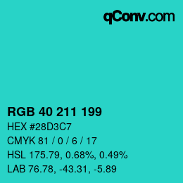 Color code: RGB 40 211 199 | qconv.com