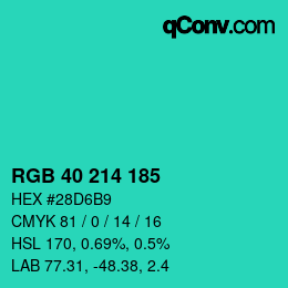 Color code: RGB 40 214 185 | qconv.com