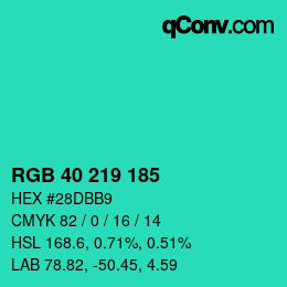 Color code: RGB 40 219 185 | qconv.com