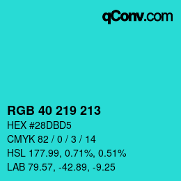 Color code: RGB 40 219 213 | qconv.com