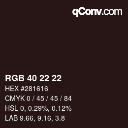 Color code: RGB 40 22 22 | qconv.com