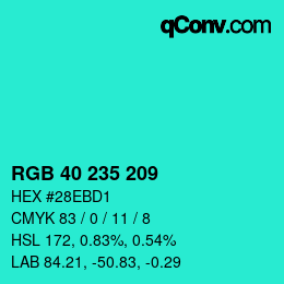 Color code: RGB 40 235 209 | qconv.com