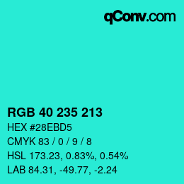 Color code: RGB 40 235 213 | qconv.com