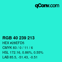Color code: RGB 40 239 213 | qconv.com