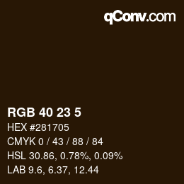 カラーコード: RGB 40 23 5 | qconv.com