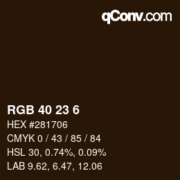 Color code: RGB 40 23 6 | qconv.com