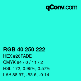 Color code: RGB 40 250 222 | qconv.com