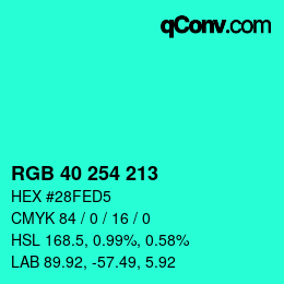 Color code: RGB 40 254 213 | qconv.com