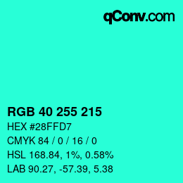 Color code: RGB 40 255 215 | qconv.com