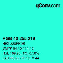 Color code: RGB 40 255 219 | qconv.com