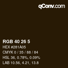 Color code: RGB 40 26 5 | qconv.com