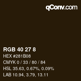 Color code: RGB 40 27 8 | qconv.com