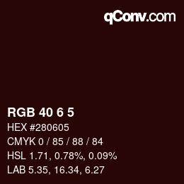 カラーコード: RGB 40 6 5 | qconv.com