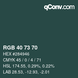 Color code: RGB 40 73 70 | qconv.com