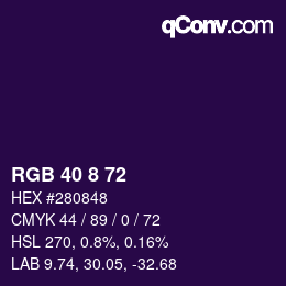 Color code: RGB 40 8 72 | qconv.com