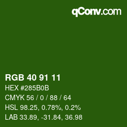 Farbcode: RGB 40 91 11 | qconv.com