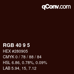 Color code: RGB 40 9 5 | qconv.com