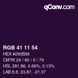 Color code: RGB 41 11 54 | qconv.com
