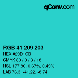 Color code: RGB 41 209 203 | qconv.com