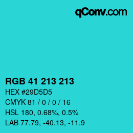 カラーコード: RGB 41 213 213 | qconv.com