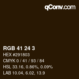 Color code: RGB 41 24 3 | qconv.com