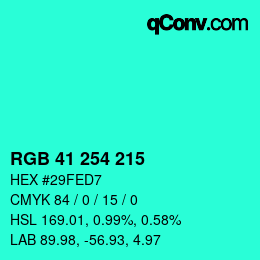 Color code: RGB 41 254 215 | qconv.com