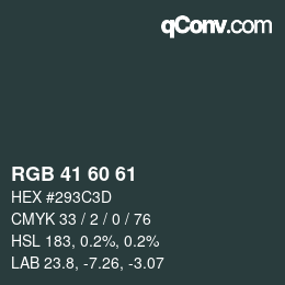 颜色代码: RGB 41 60 61 | qconv.com