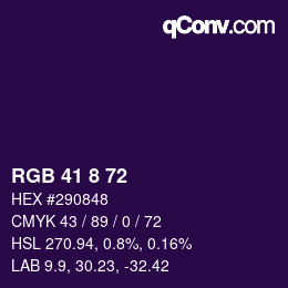 Color code: RGB 41 8 72 | qconv.com