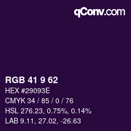 Color code: RGB 41 9 62 | qconv.com