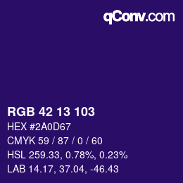 Color code: RGB 42 13 103 | qconv.com