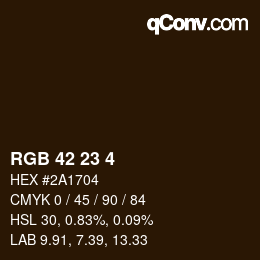 Color code: RGB 42 23 4 | qconv.com
