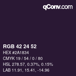 Color code: RGB 42 24 52 | qconv.com
