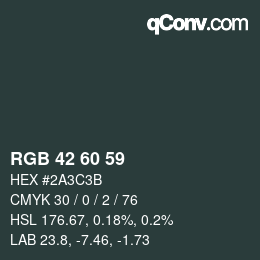 颜色代码: RGB 42 60 59 | qconv.com