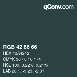 Código de color: RGB 42 66 66 | qconv.com