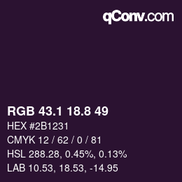 Color code: RGB 43.1 18.8 49 | qconv.com