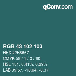 Color code: RGB 43 102 103 | qconv.com