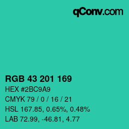 Color code: RGB 43 201 169 | qconv.com