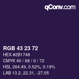 Color code: RGB 43 23 72 | qconv.com