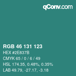 Color code: RGB 46 131 123 | qconv.com
