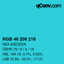 Color code: RGB 46 206 218 | qconv.com
