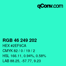 Color code: RGB 46 249 202 | qconv.com