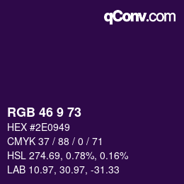 Color code: RGB 46 9 73 | qconv.com