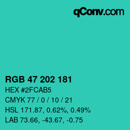 Código de color: RGB 47 202 181 | qconv.com